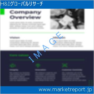 市場と産業調査レポートのイメージ